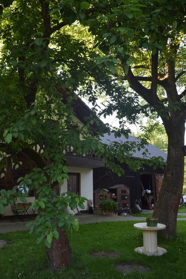 Gaestehaus Bohg Burg  Exterior foto